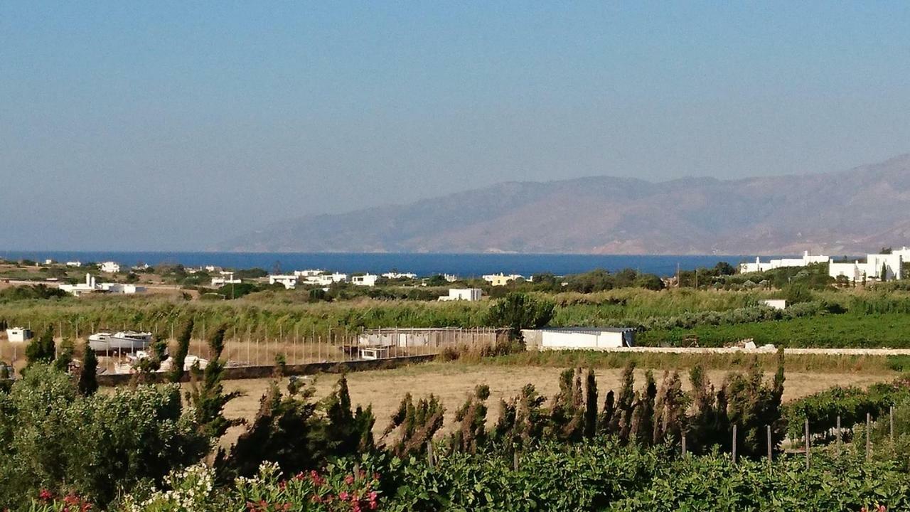 Villa Kampos Naousa-Marpisa 암벨라스 외부 사진
