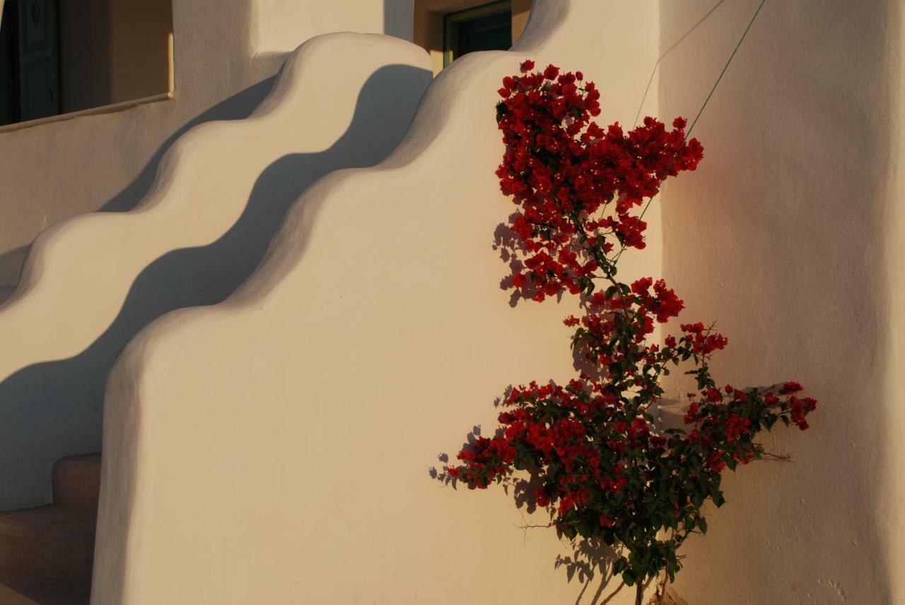 Villa Kampos Naousa-Marpisa 암벨라스 외부 사진