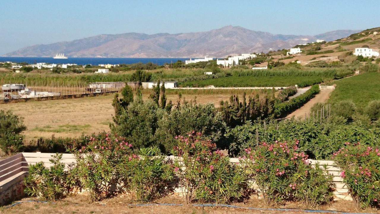 Villa Kampos Naousa-Marpisa 암벨라스 외부 사진
