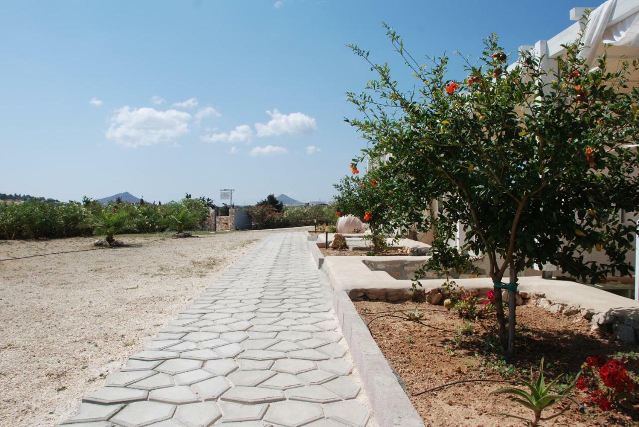 Villa Kampos Naousa-Marpisa 암벨라스 외부 사진